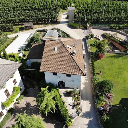 Al Trifoglio Bed & Breakfast Campodenno Екстериор снимка