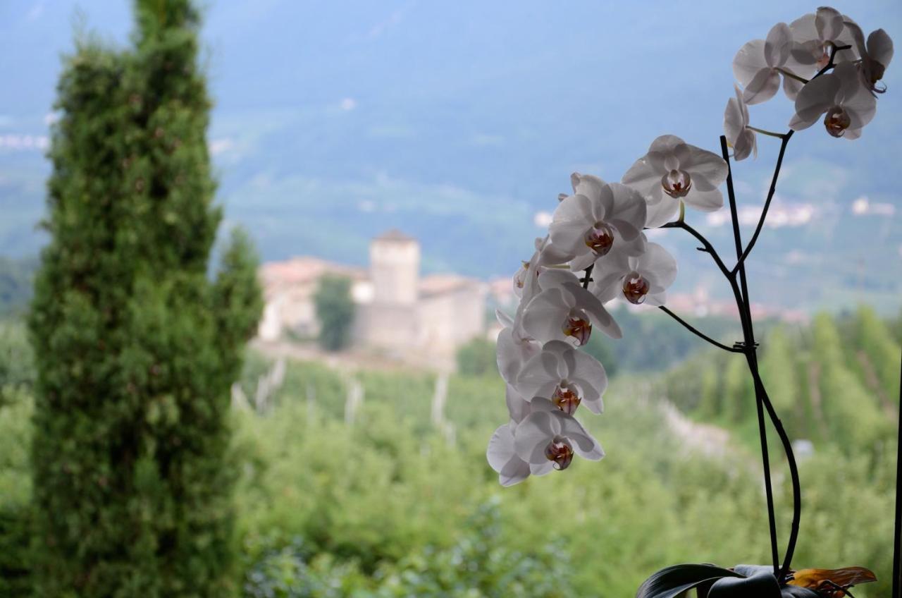 Al Trifoglio Bed & Breakfast Campodenno Екстериор снимка